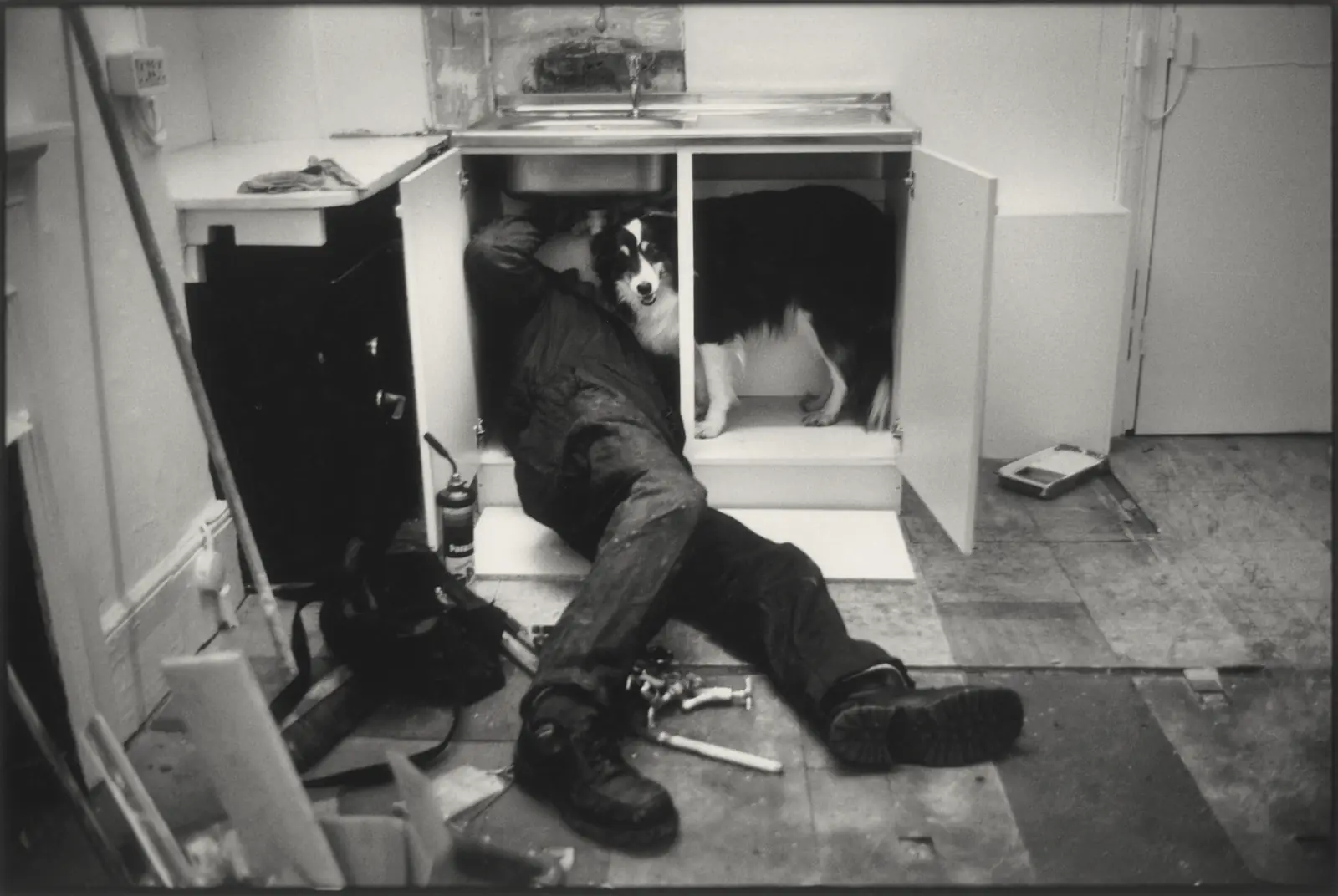 A plumber lies on a kitchen floor working under a sink while a border collie stands in the cupboard beside him, looking at the camera.